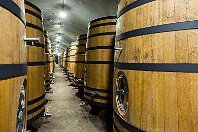 ﻿《银河战士Prime4》新广告片段泄露 展示新Boss战